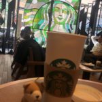 0021　スタバのカフェミストを豆乳に変更