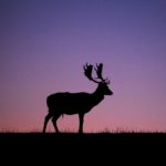 049　おとなになって背が伸びるとよいことだらけ