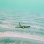 051　身体が感じたとおりにやる