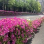 085　野次を飛ばすかバッターボックスに立つか